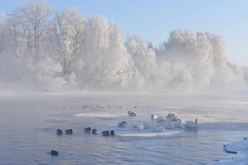 Photograph by Альфия Бикмухаметова