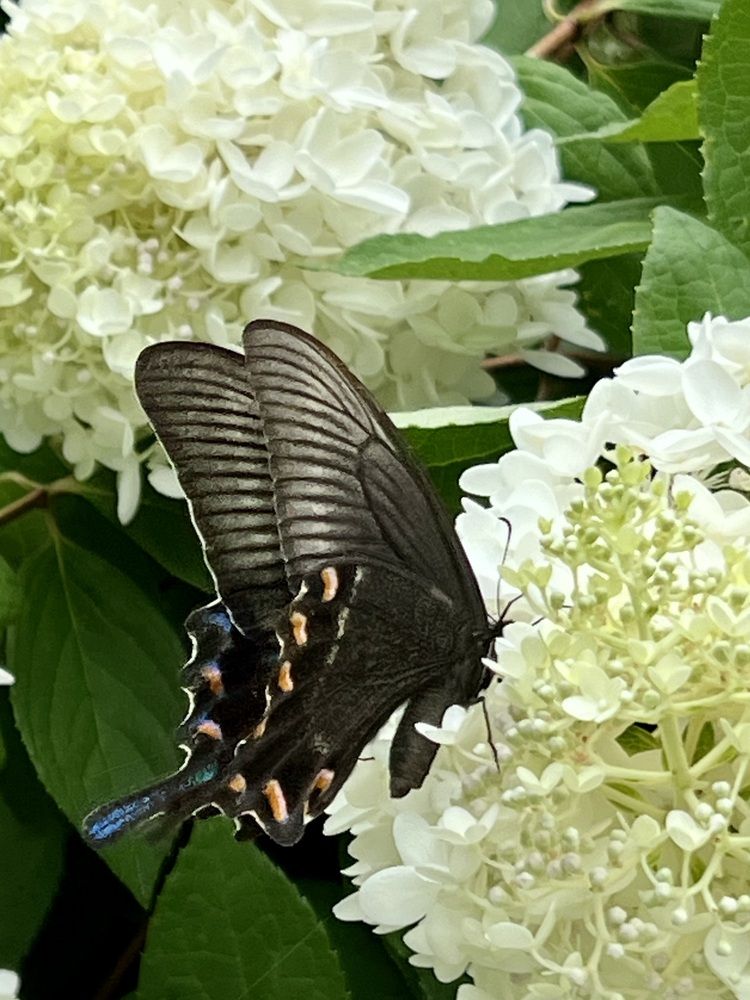 Photograph by Маргарита Сергуткина