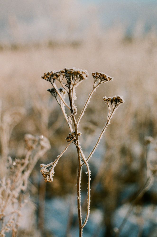 Photograph by Юлия Фомина