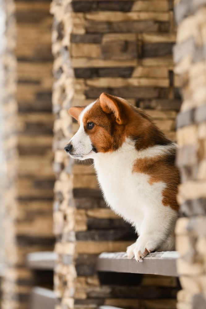 Фотография автора Алена Ковалёва