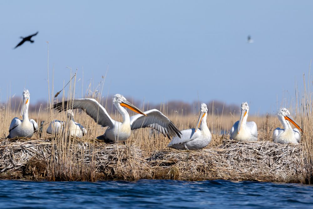 Photograph by Константин Шатилов