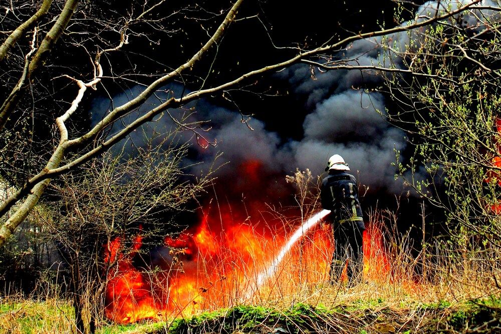Фотография автора Алексей Макаров