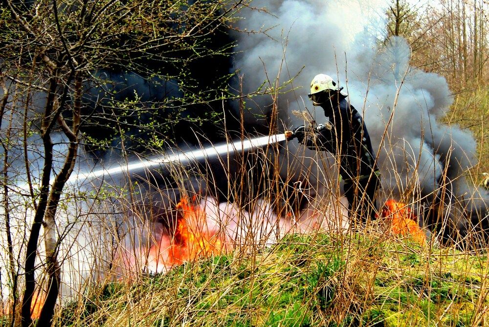 Фотография автора Алексей Макаров