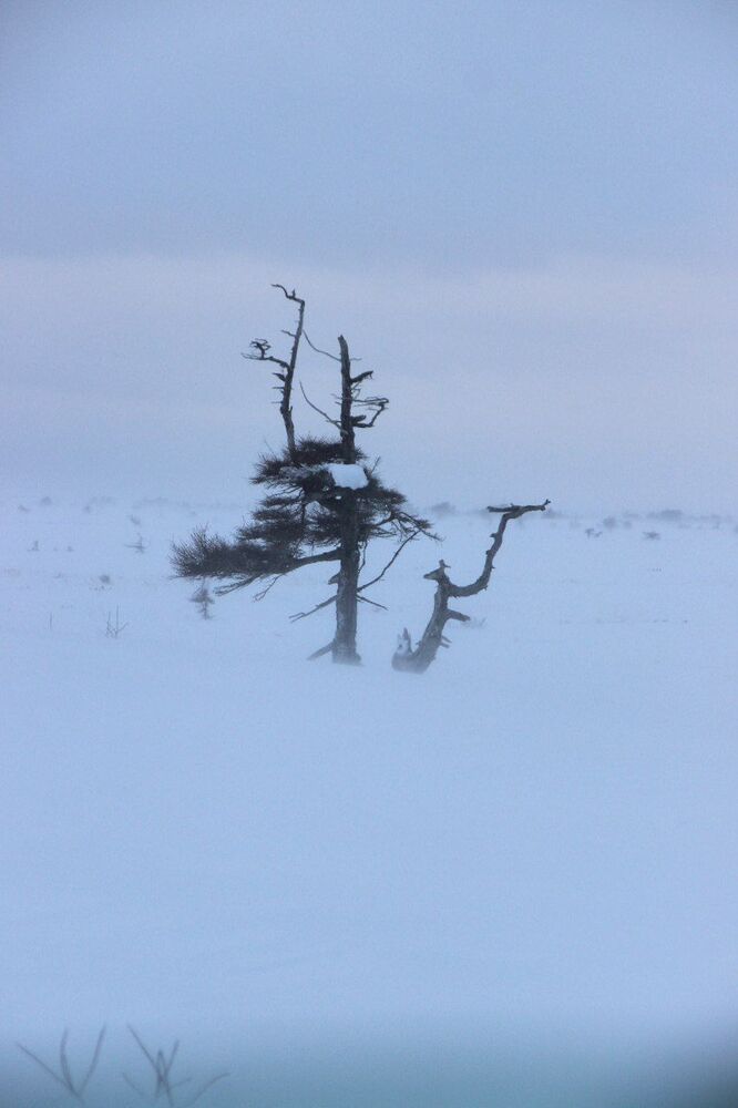 Photograph by Elena Edeleva Еделева