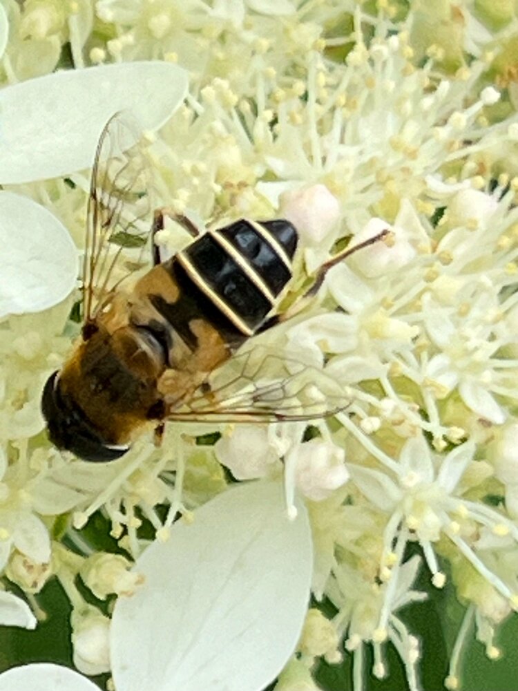 Photograph by Маргарита Сергуткина