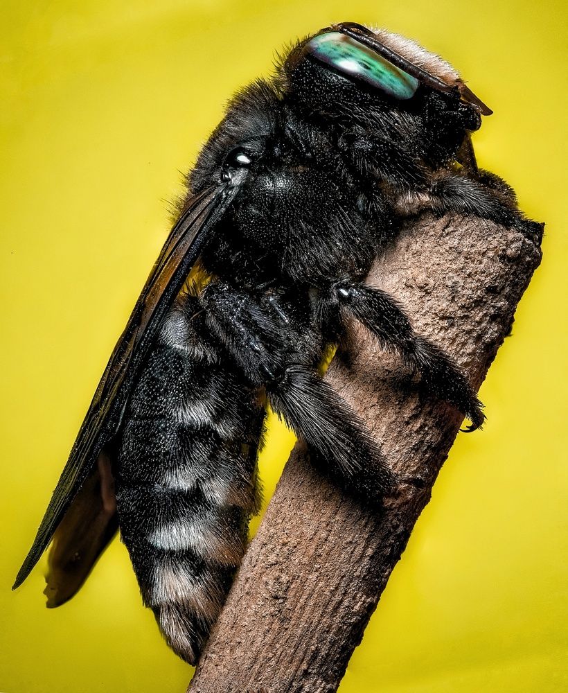 Photograph by Abolfazl Arab