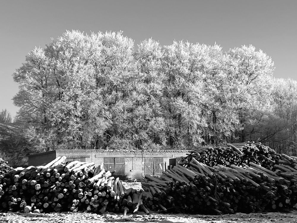 Photograph by Светлана Долганова