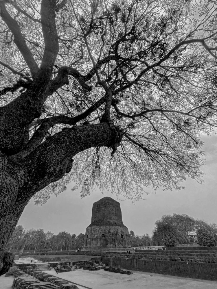 Фотография автора Shuvadeep Paul