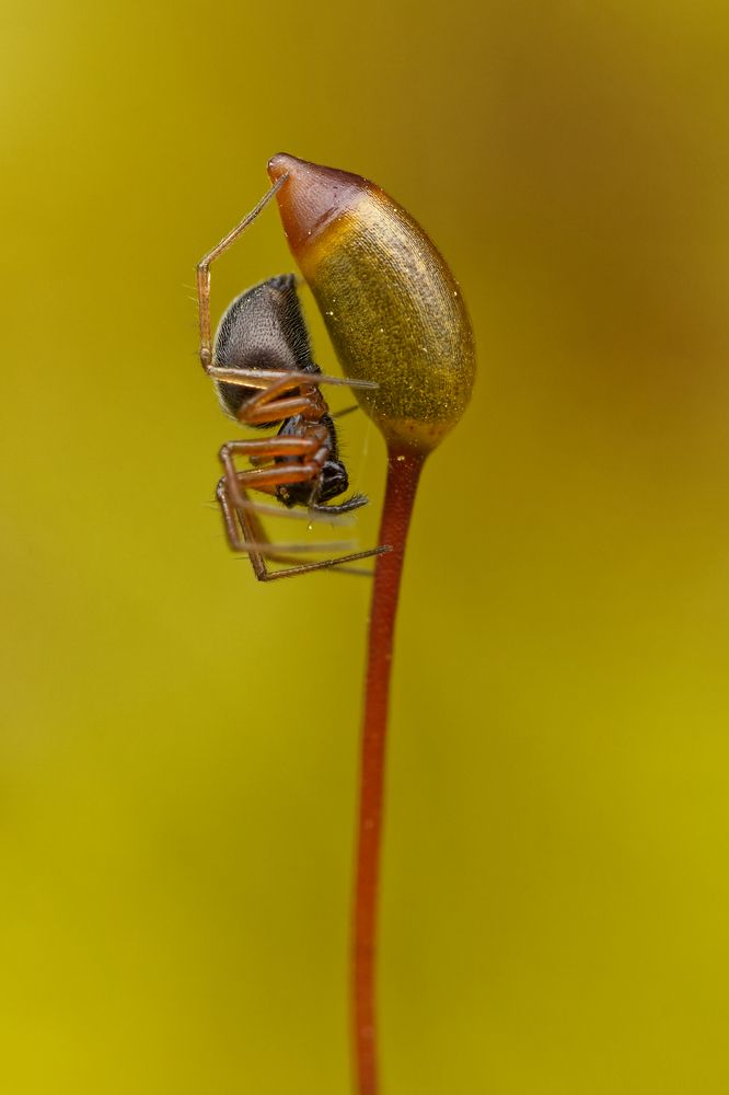 Фотография автора Jozef Mihalčin