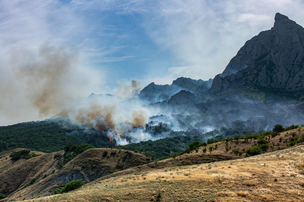 Фотография автора Егор Носов