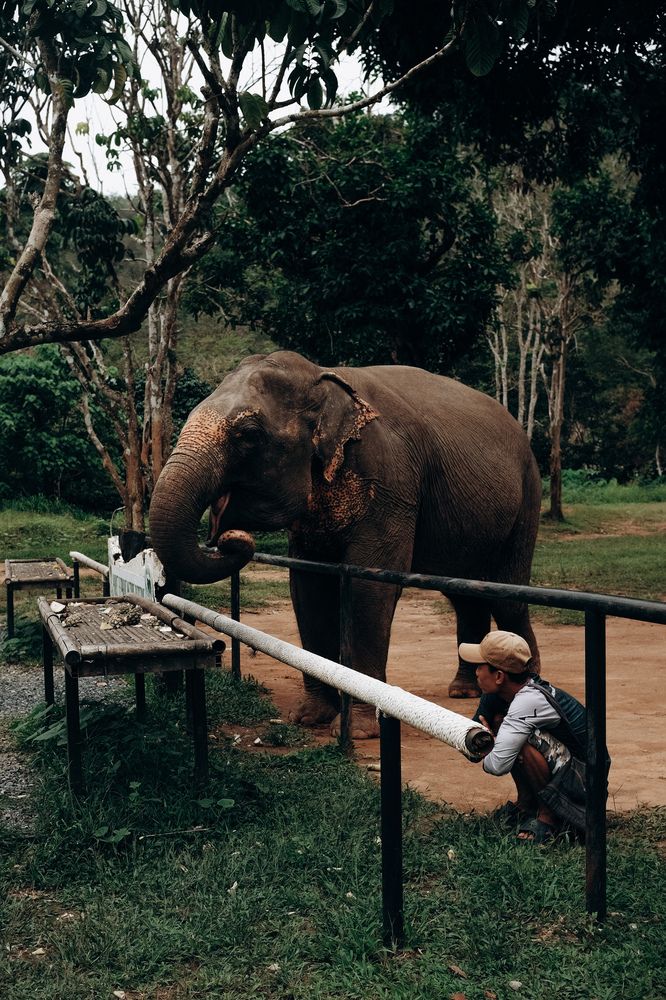 Photograph by Юлиан Лычангин