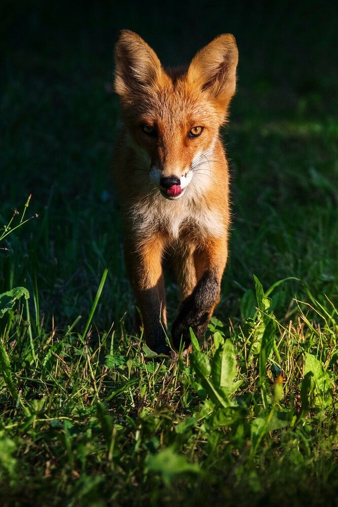 Фотография автора Павел Ныриков