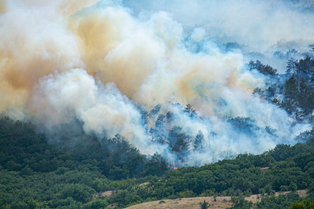 Фотография автора Егор Носов