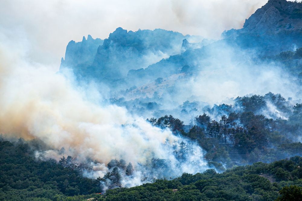 Фотография автора Егор Носов