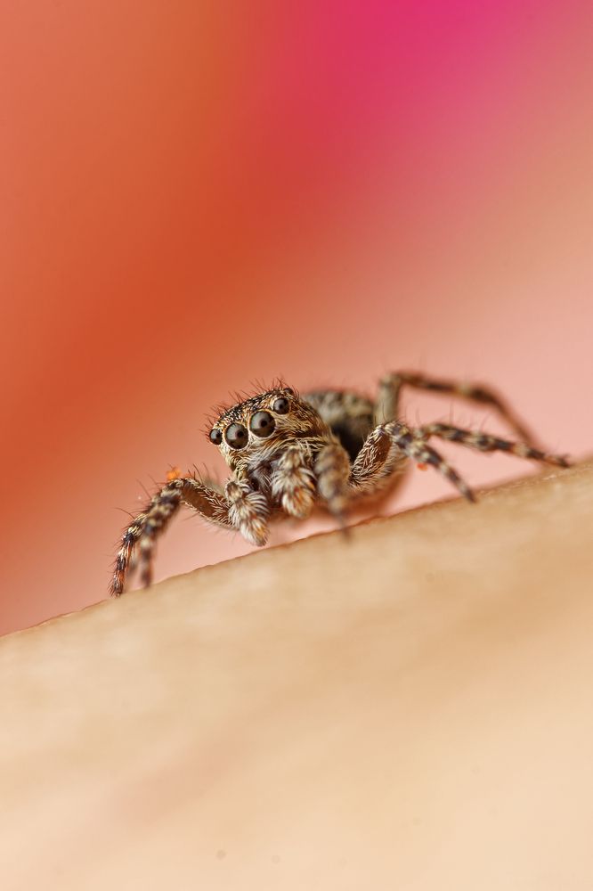 Фотография автора Jozef Mihalčin