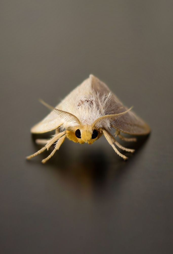 Photograph by Vikrant Khedekar