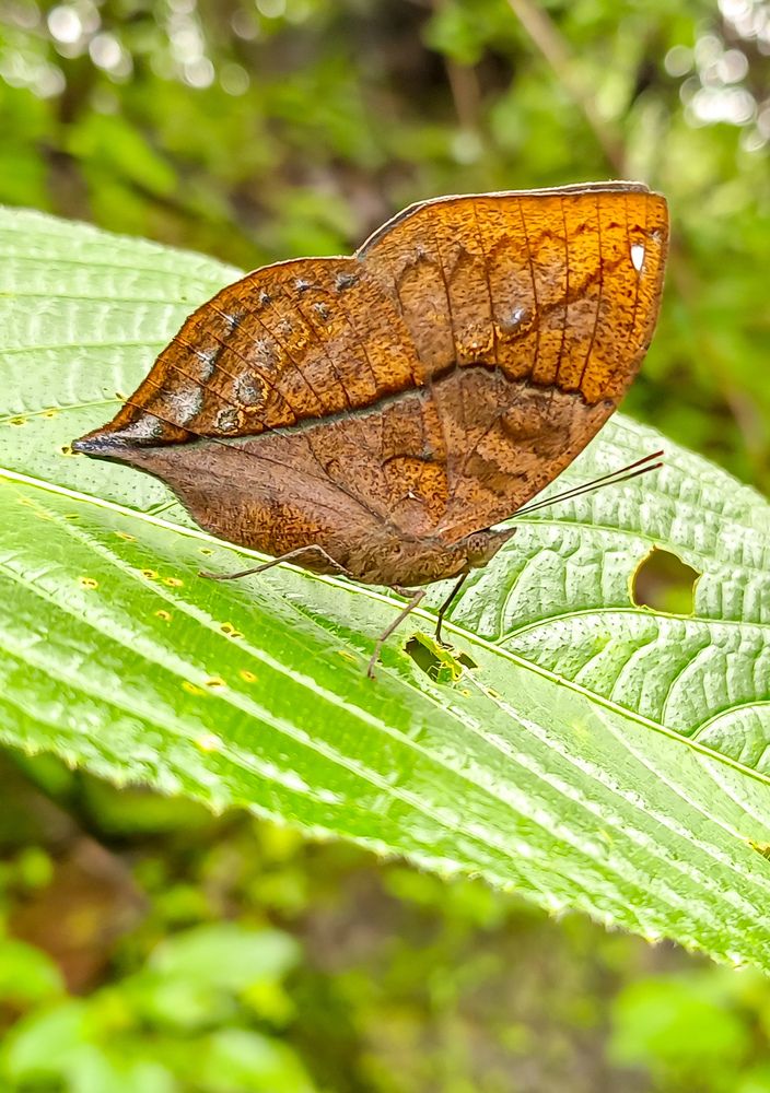 Photograph by Vikrant Khedekar