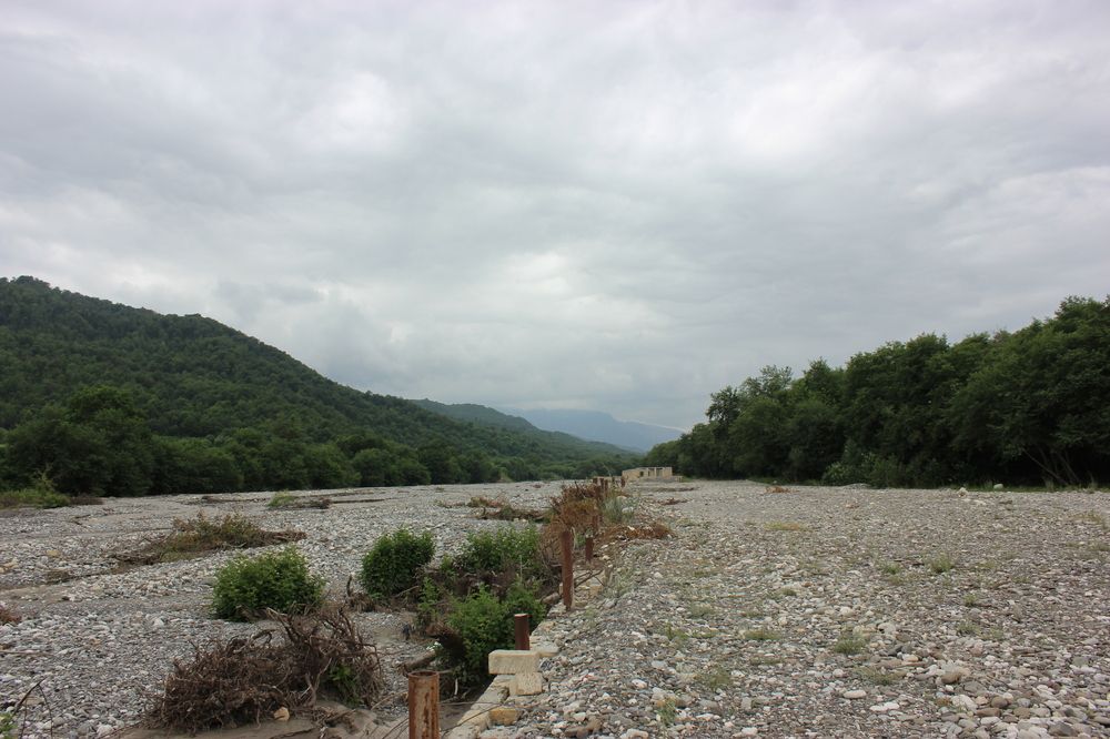 Фотография автора Gulustan Aliyeva