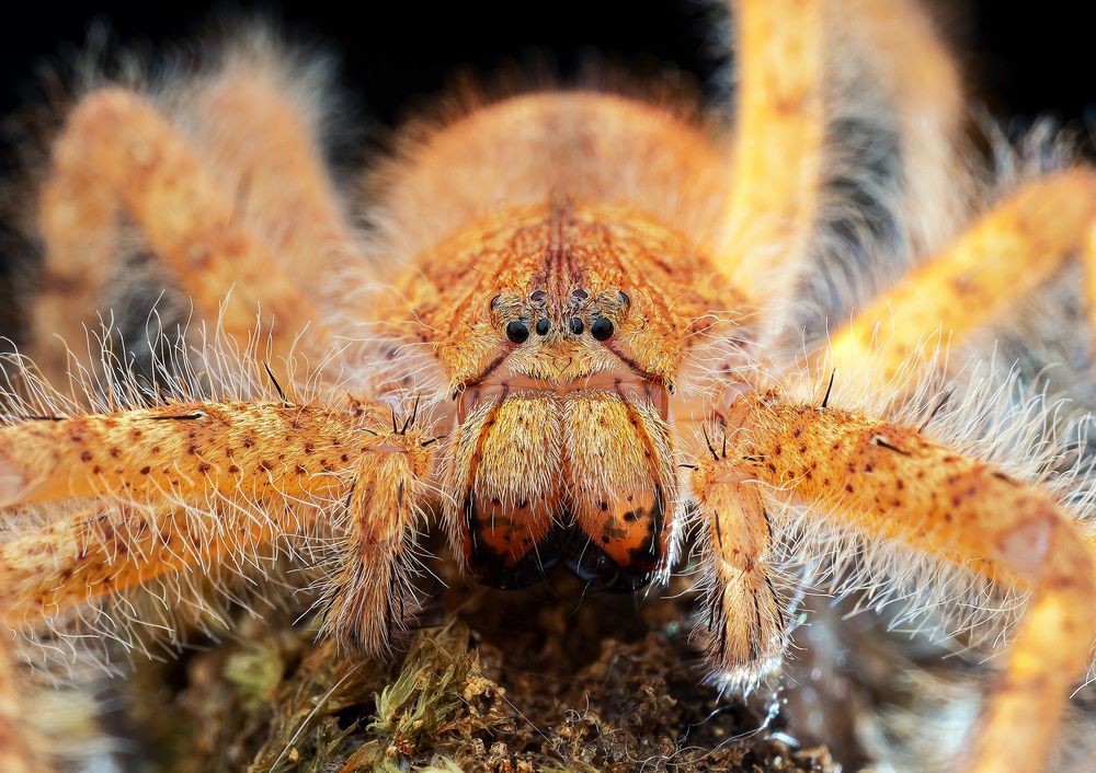 Photograph by Marcus Kam