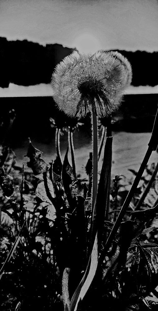 Photograph by Марина Игнатьева