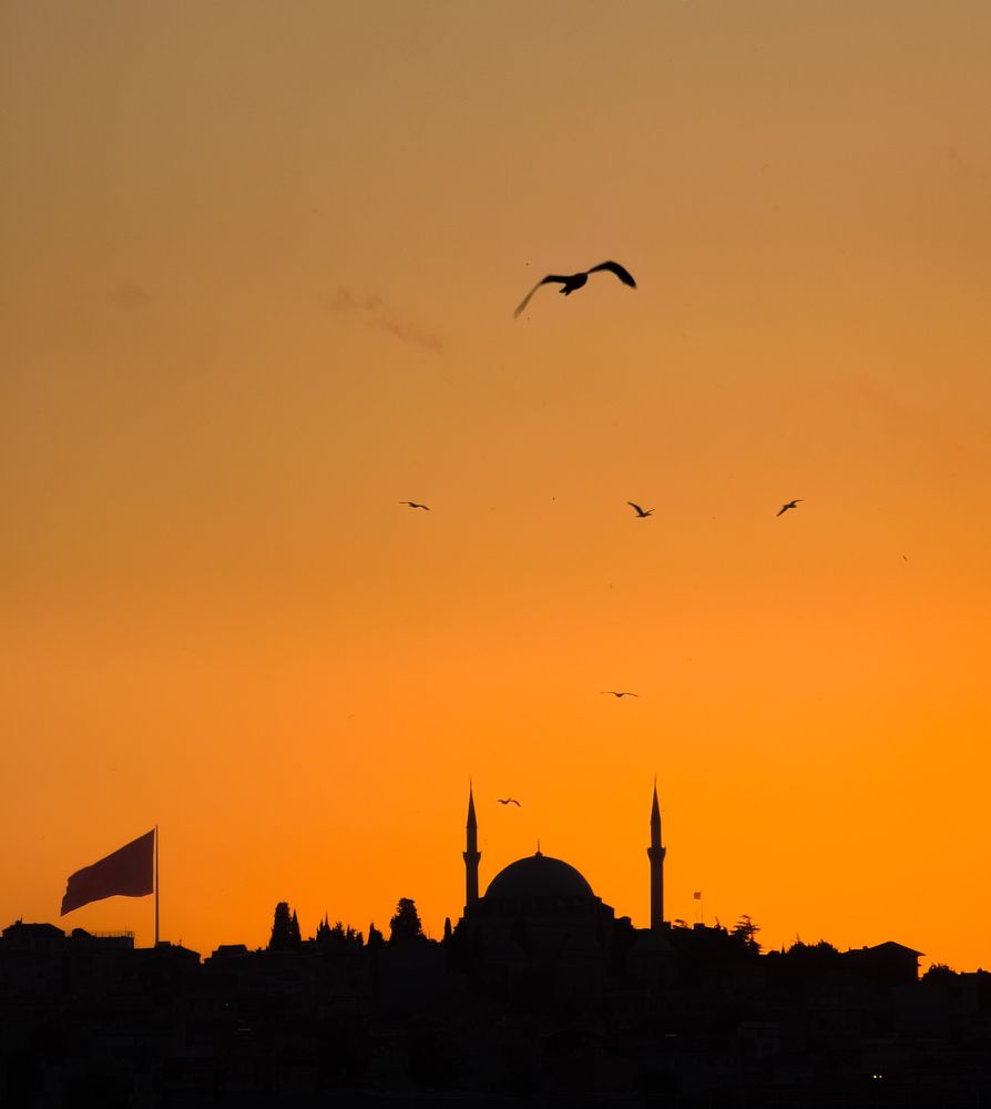 Фотография автора Никита