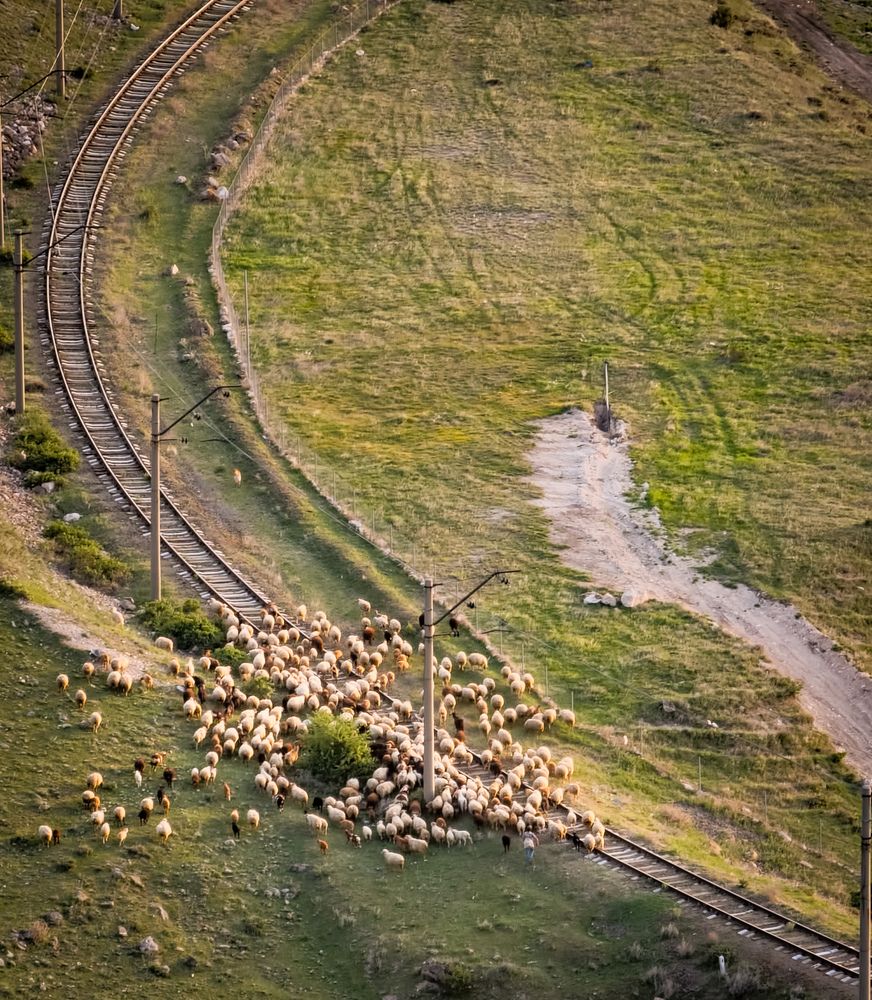 Photograph by Никита