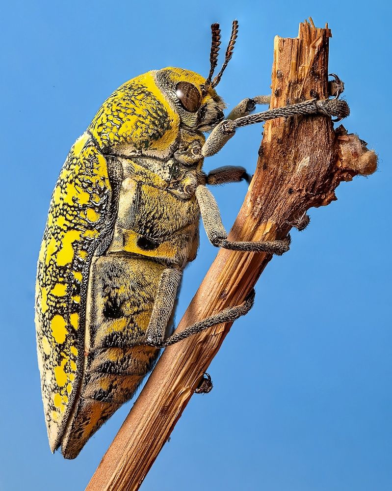 Photograph by Abolfazl Arab