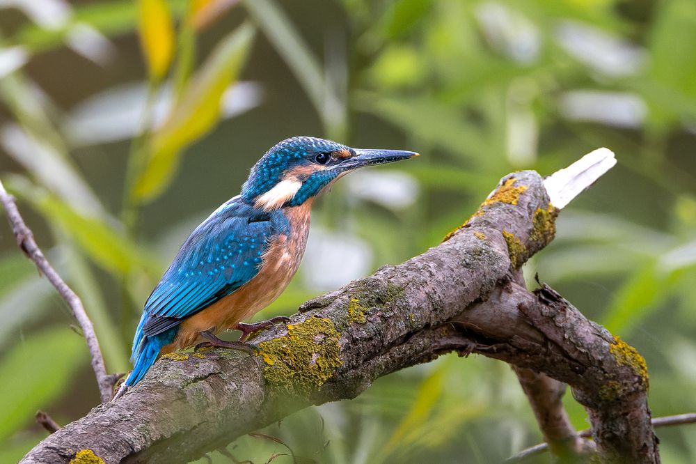 Photograph by Вера Машина