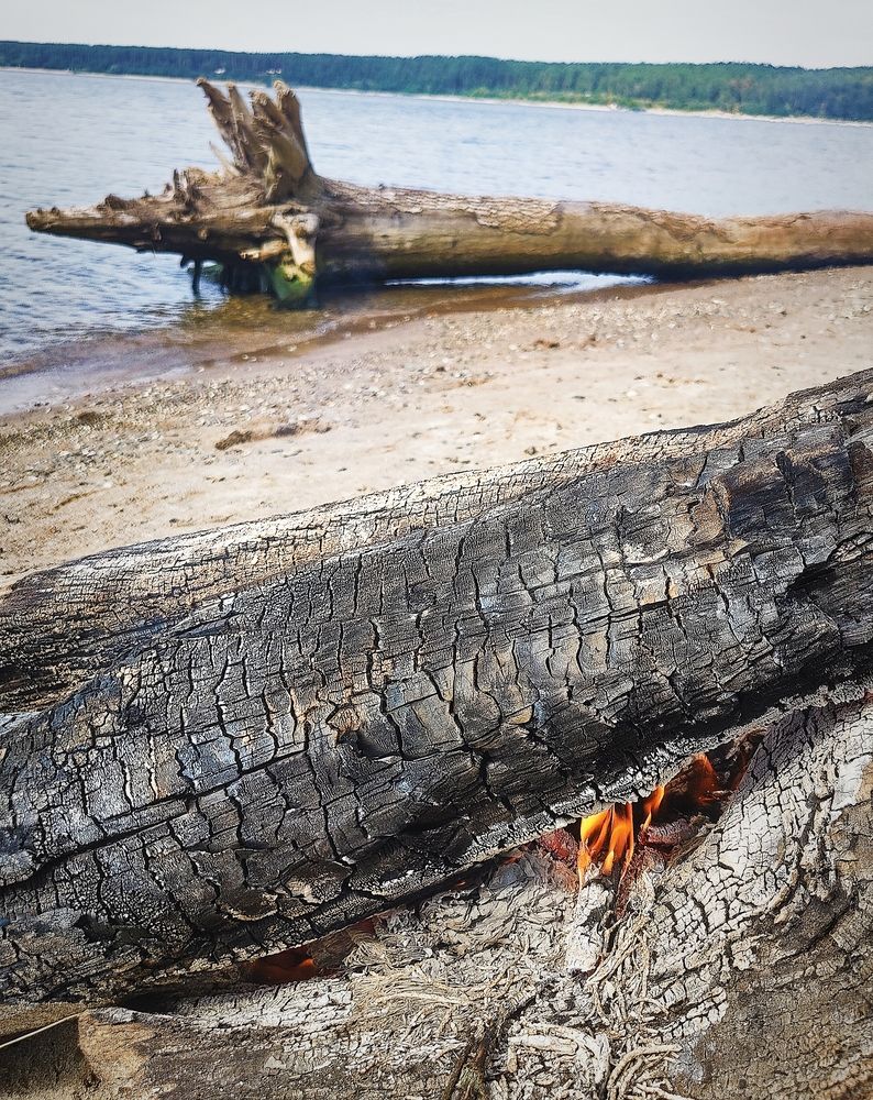 Photograph by Olena Chertous