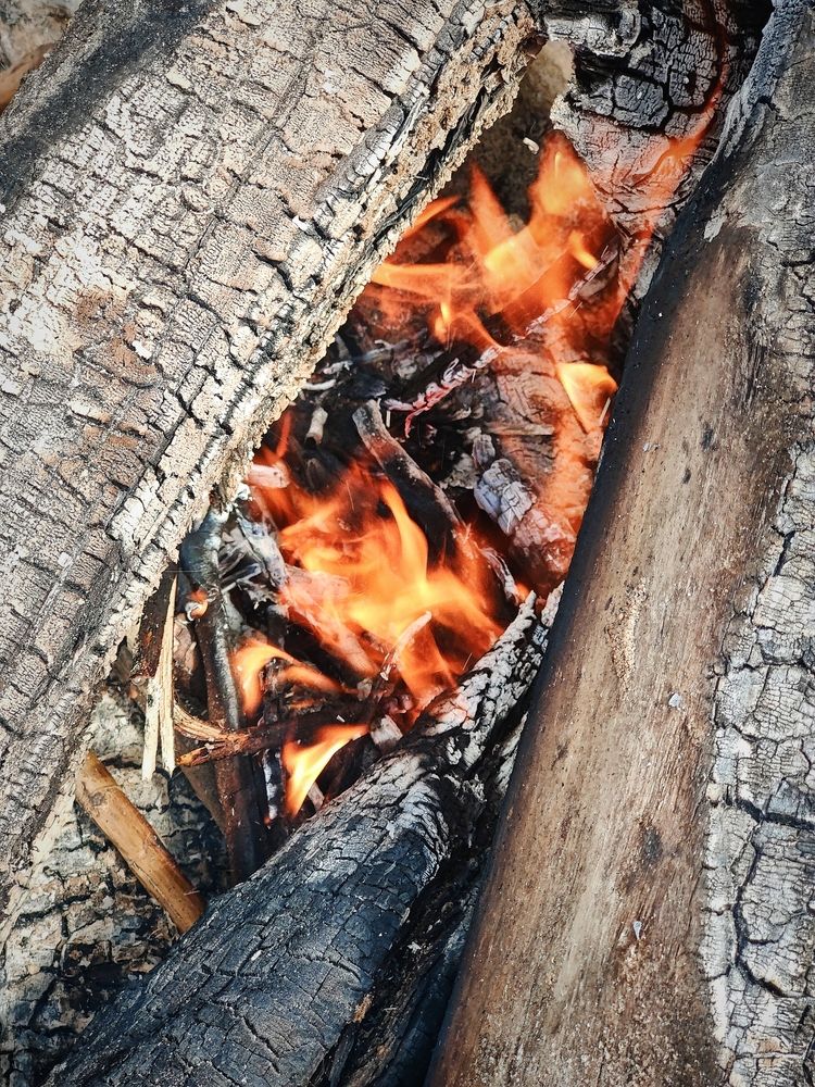 Photograph by Olena Chertous