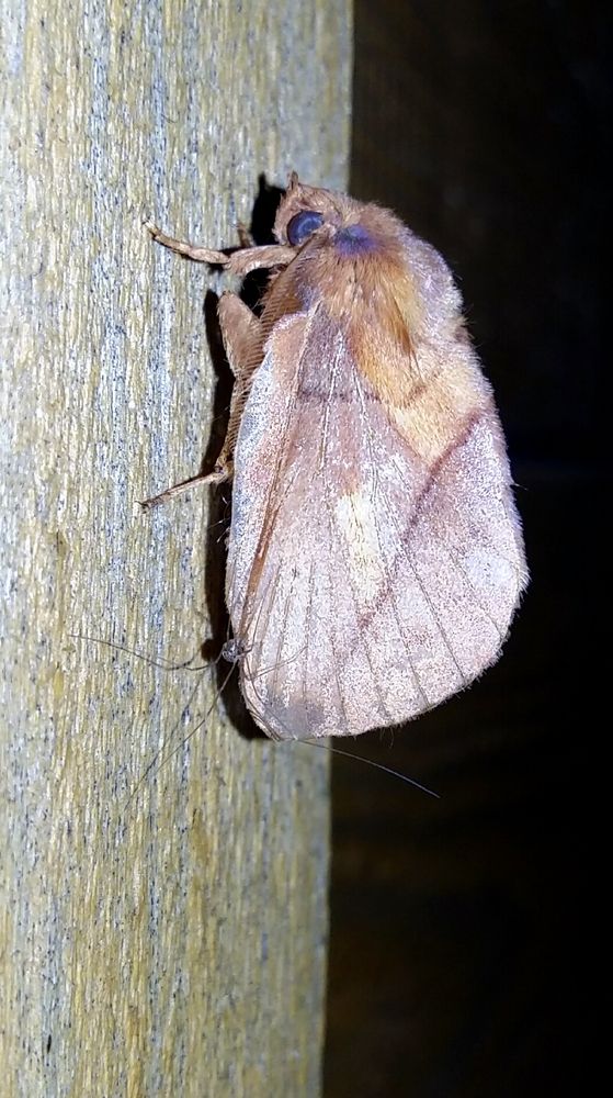 Фотография автора Сергей Можаев