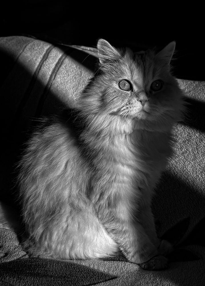 Photograph by Tanzilya Gabidullina