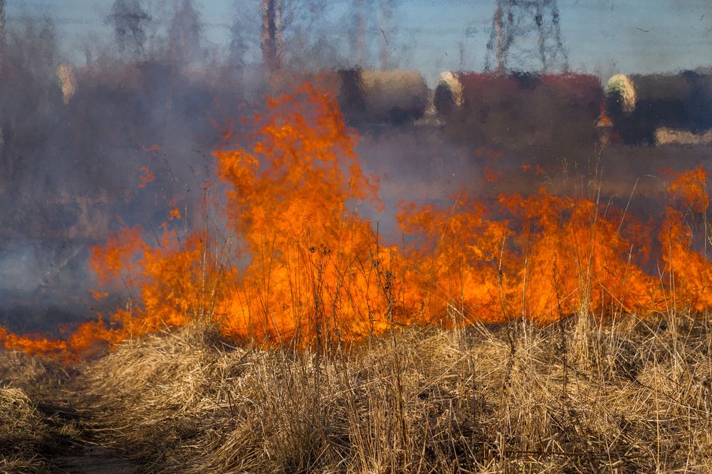 Photograph by Pavel Gukov