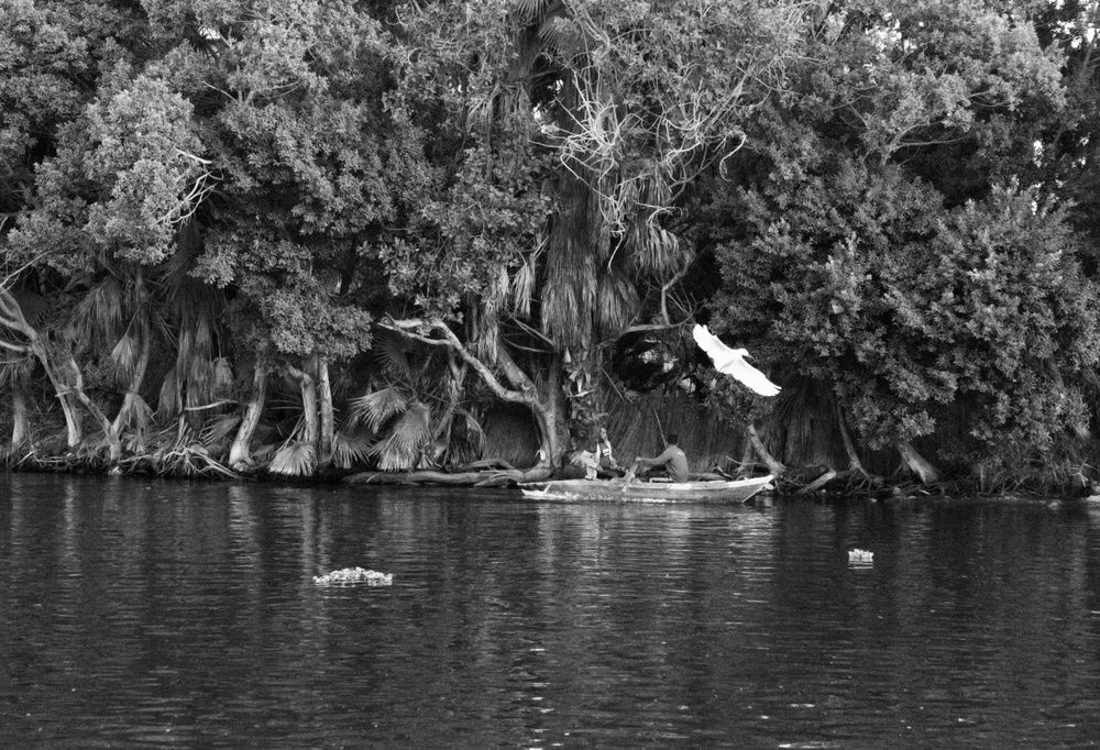 Photograph by وفاء يريمي