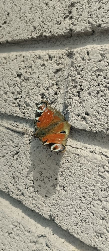 Photograph by Владислав Степанов