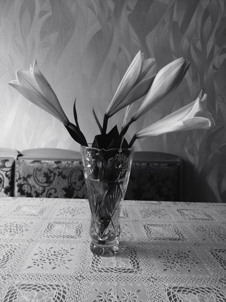 Photograph by Ирина Марченко