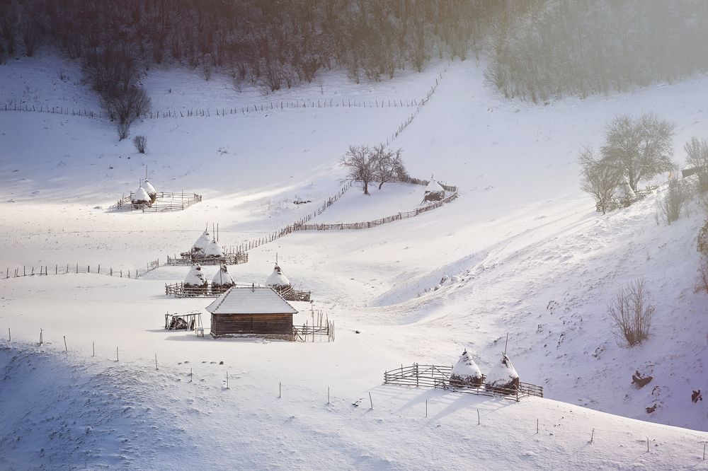 Фотография автора Bogdan Negoita
