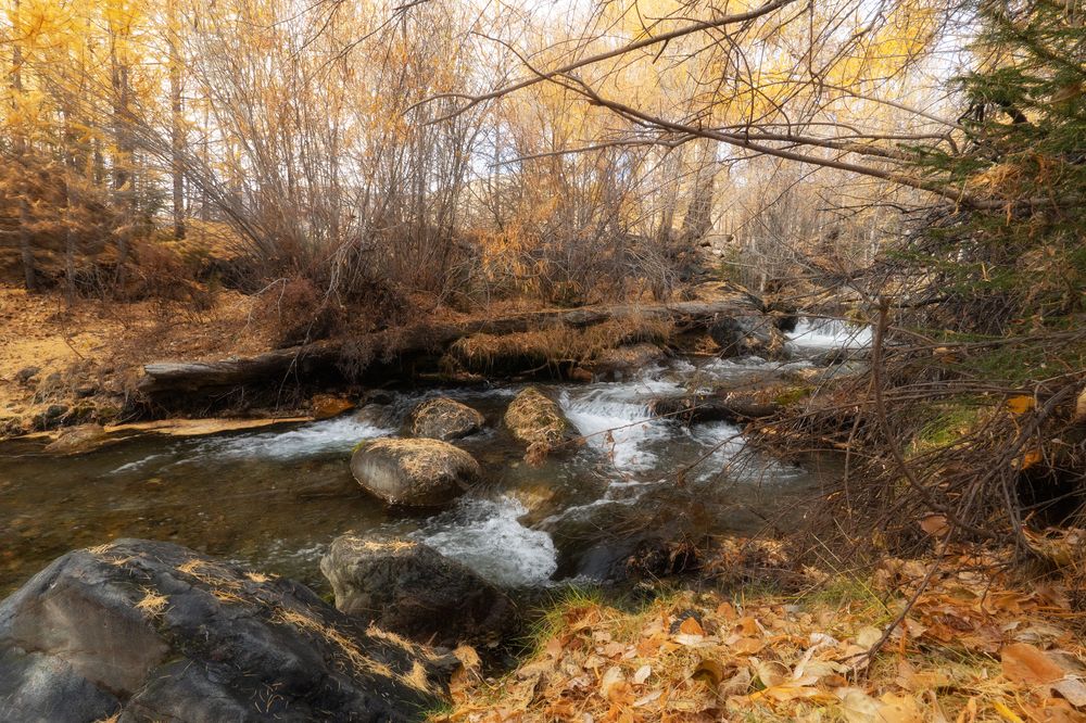 Photograph by Руслан Нигматуллин