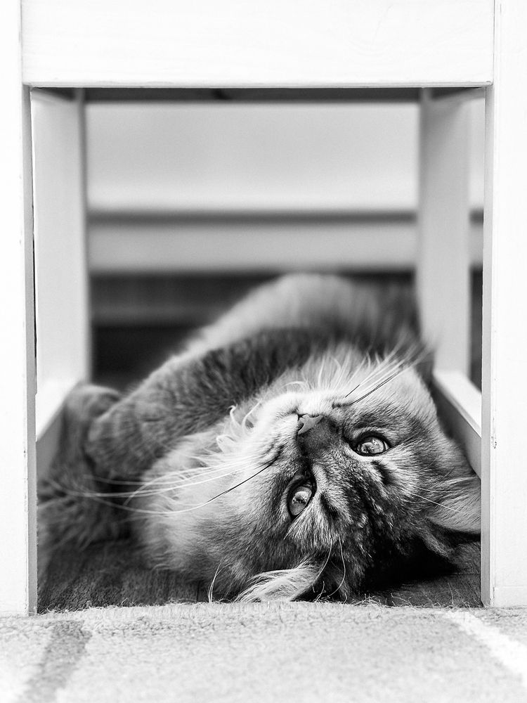 Photograph by Светлана Прокофьева