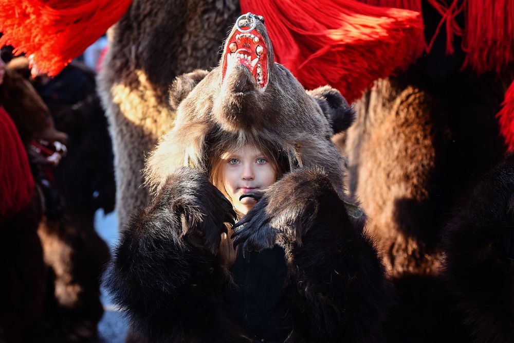 Фотография автора Bogdan Negoita