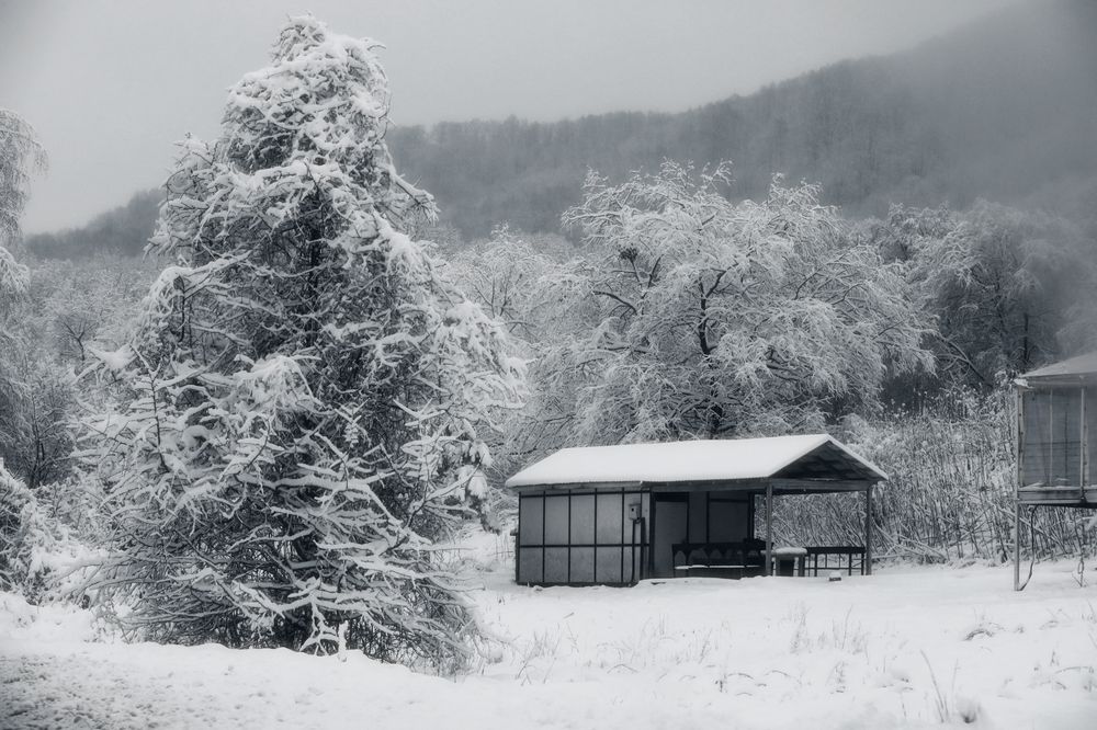 Photograph by Татьяна Полоцкая