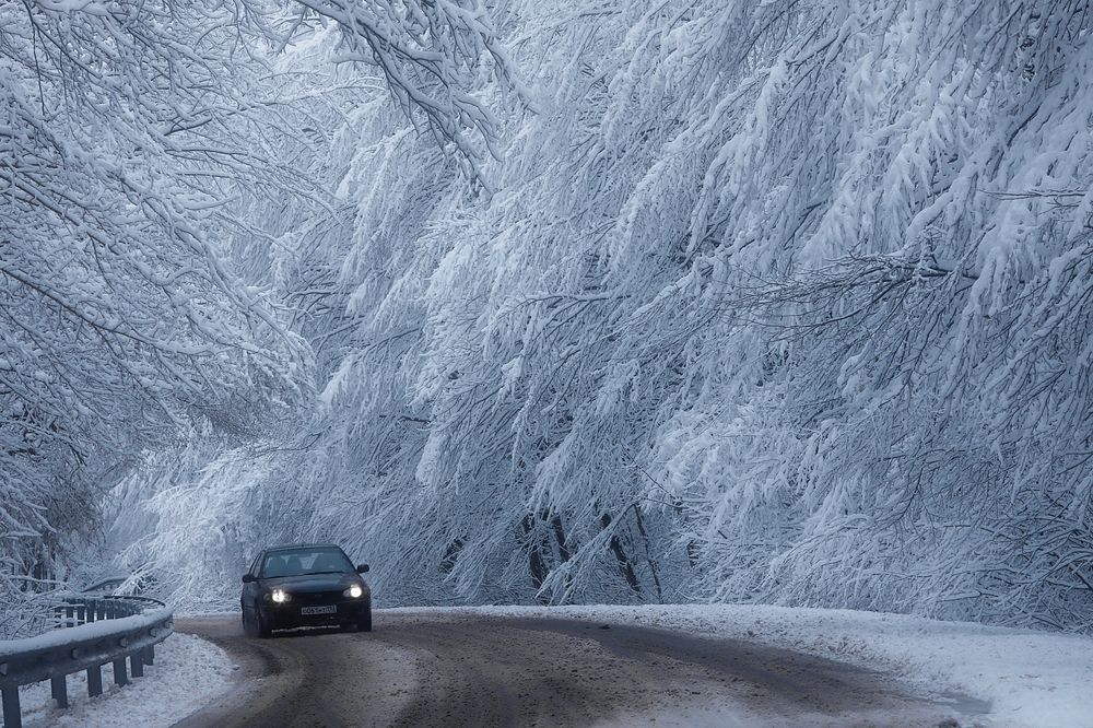 Photograph by Татьяна Полоцкая