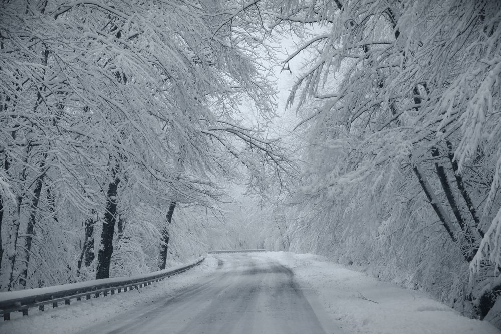 Photograph by Татьяна Полоцкая