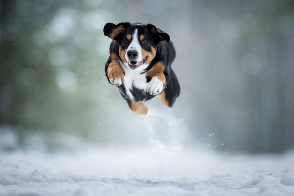 Photograph by Светлана Писарева