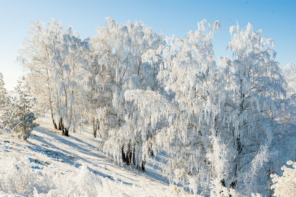 Фотография автора Рамиль Фаттахов