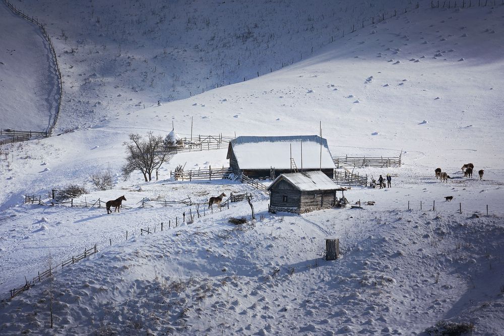 Фотография автора Bogdan Negoita