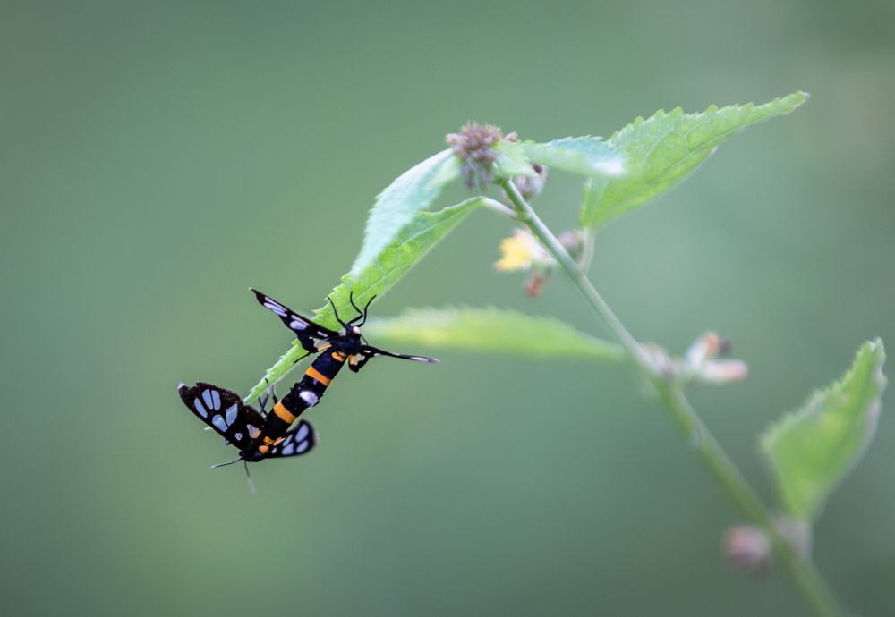 Photograph by Md Matiur Rahman