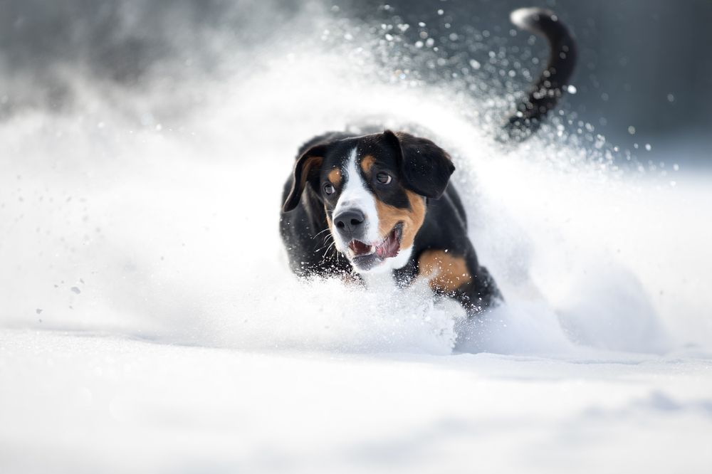 Photograph by Светлана Писарева