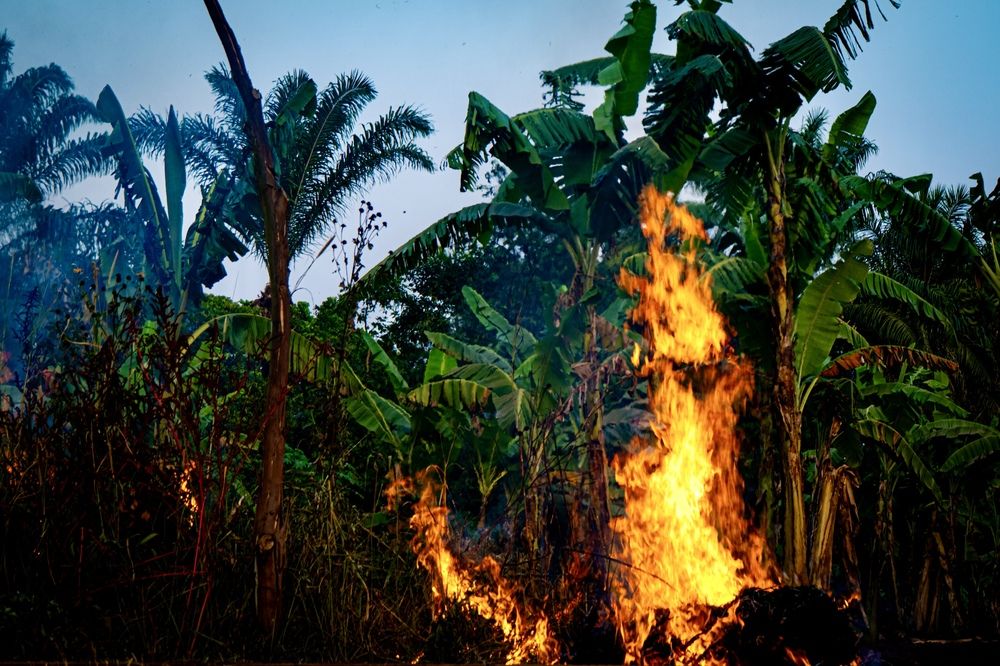 Фотография автора Emi D