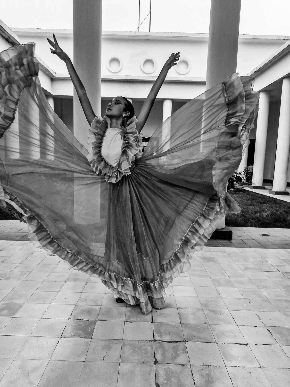 Photo #11908827